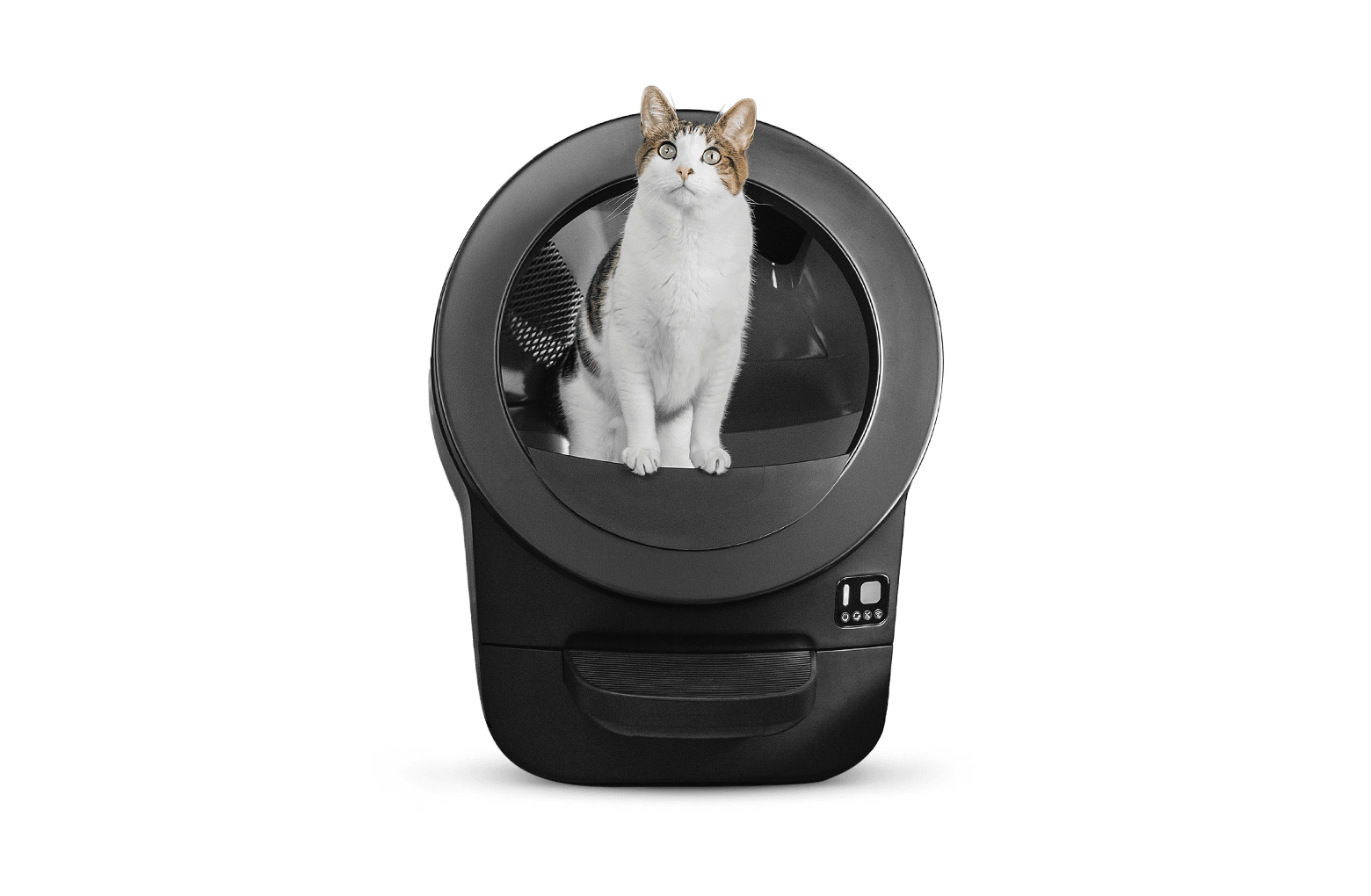How often to clean a litter box